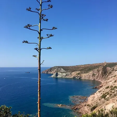 Poecylia 3* Carloforte (Isola di San Pietro)