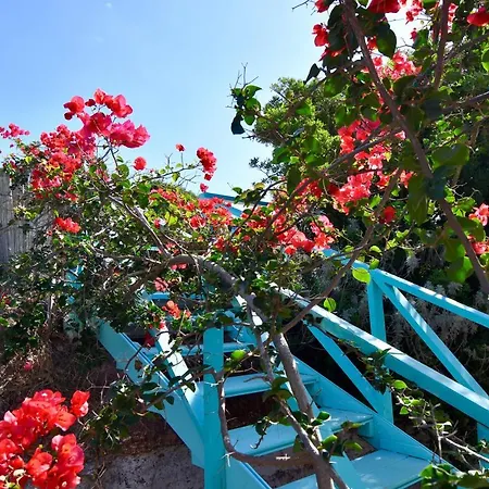 Bed & Breakfast Poecylia