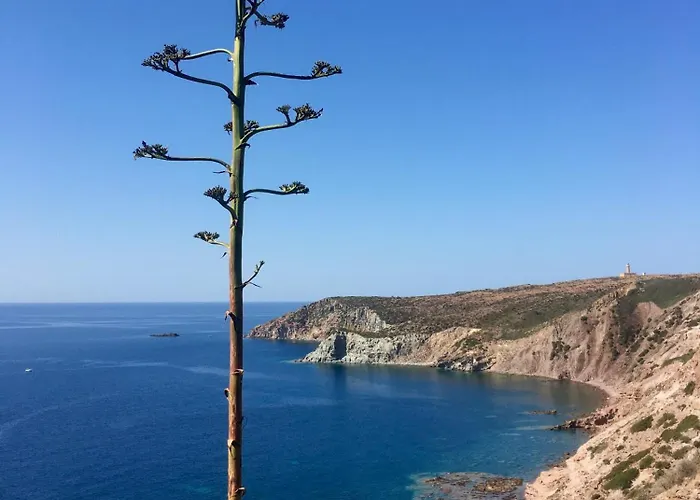 Poecylia 4* Carloforte (Isola di San Pietro)